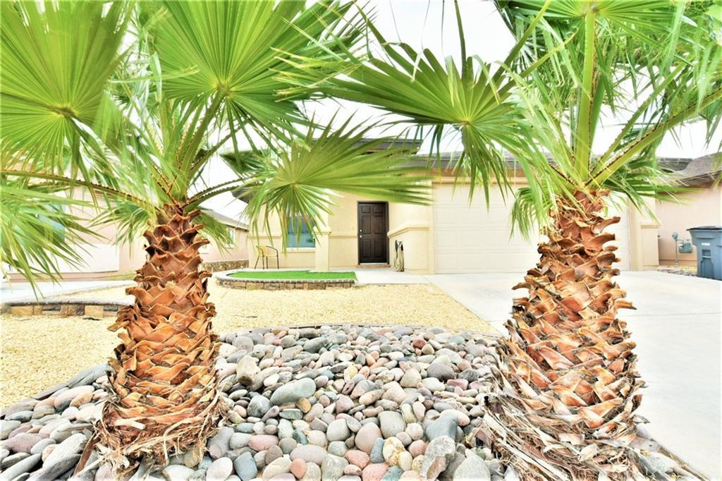 14416 Spanish Point Drive El Paso, TX 79938 - Photo 1 of 1 a potted plant is sitting in front of a house