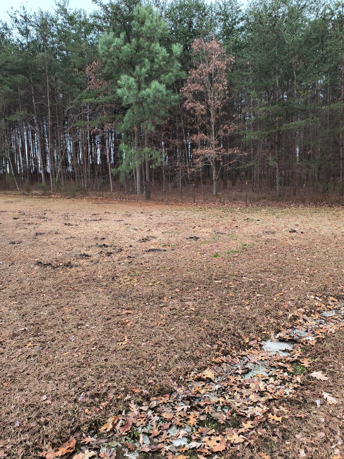 345-345 Double Bridge Road Chatham, VA 24531 - Photo 35 of 78 a backyard of a house with lots of green space