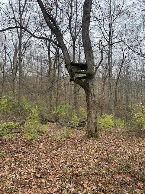 3 Salem Ridge Road Aurora, IN 47001 - Photo 11 of 33