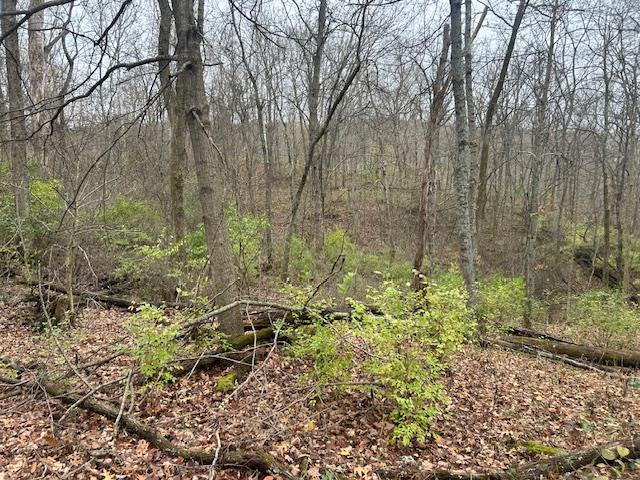 3 Salem Ridge Road Aurora, IN 47001 - Photo 12 of 33