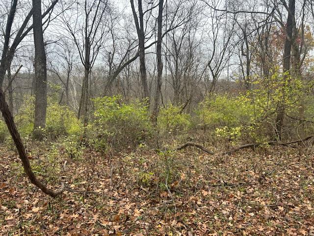 3 Salem Ridge Road Aurora, IN 47001 - Photo 13 of 33