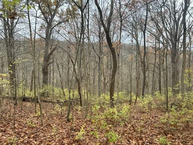 $349,900 | 3 Salem Ridge Road, Aurora, IN 47001