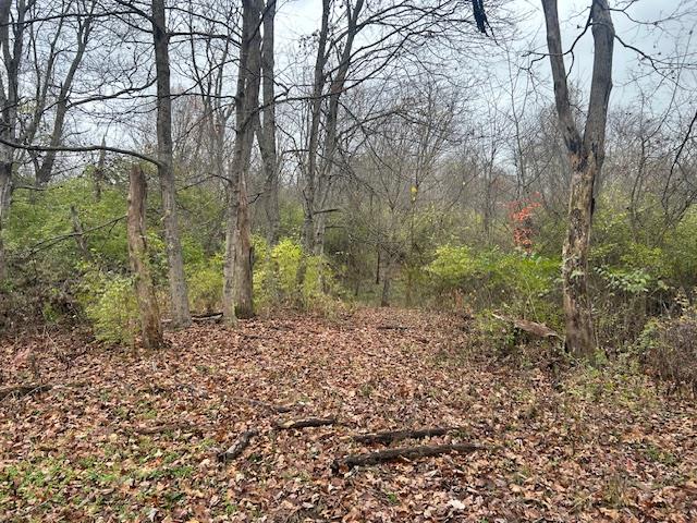 3 Salem Ridge Road Aurora, IN 47001 - Photo 17 of 33