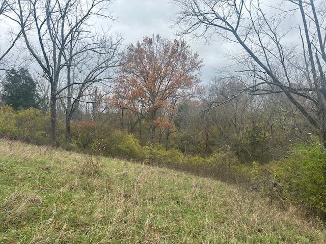 3 Salem Ridge Road Aurora, IN 47001 - Photo 20 of 33
