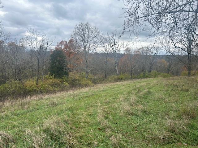 3 Salem Ridge Road Aurora, IN 47001 - Photo 22 of 33