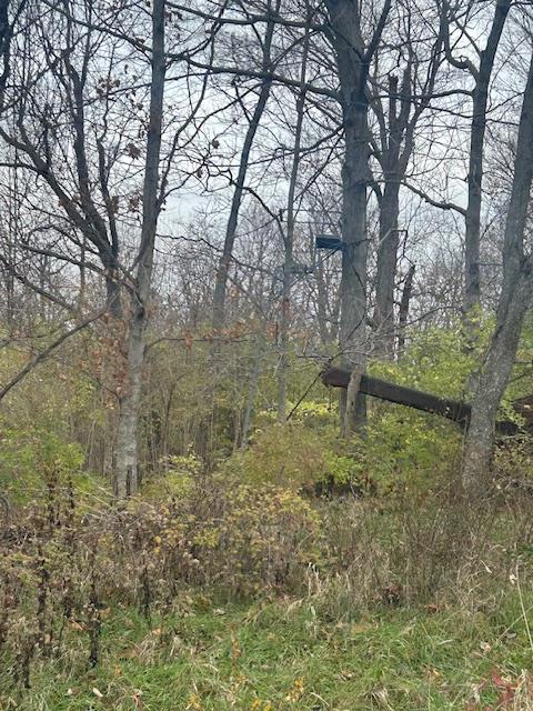 3 Salem Ridge Road Aurora, IN 47001 - Photo 23 of 33