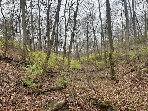 $349,900 | 3 Salem Ridge Road, Aurora, IN 47001