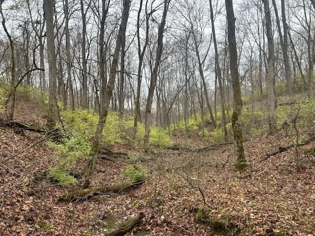 $349,900 | 3 Salem Ridge Road, Aurora, IN 47001