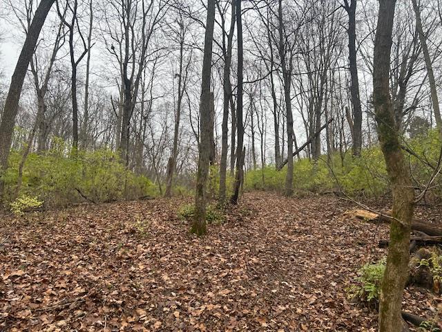 3 Salem Ridge Road Aurora, IN 47001 - Photo 6 of 33