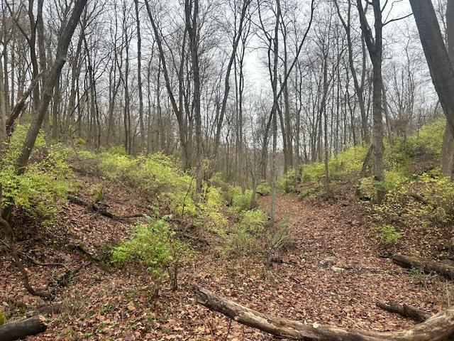 3 Salem Ridge Road Aurora, IN 47001 - Photo 7 of 33