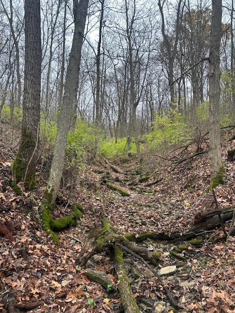 3 Salem Ridge Road Aurora, IN 47001 - Photo 9 of 33