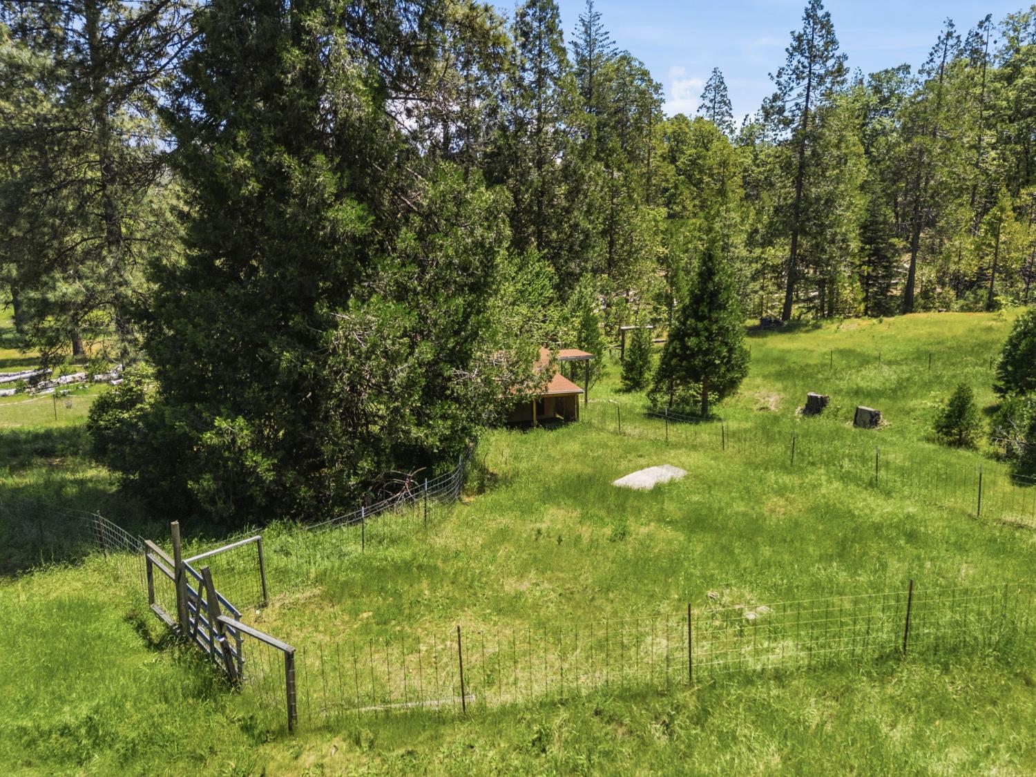7019 Scott Road Mariposa, CA 95338 - Photo 72 of 77