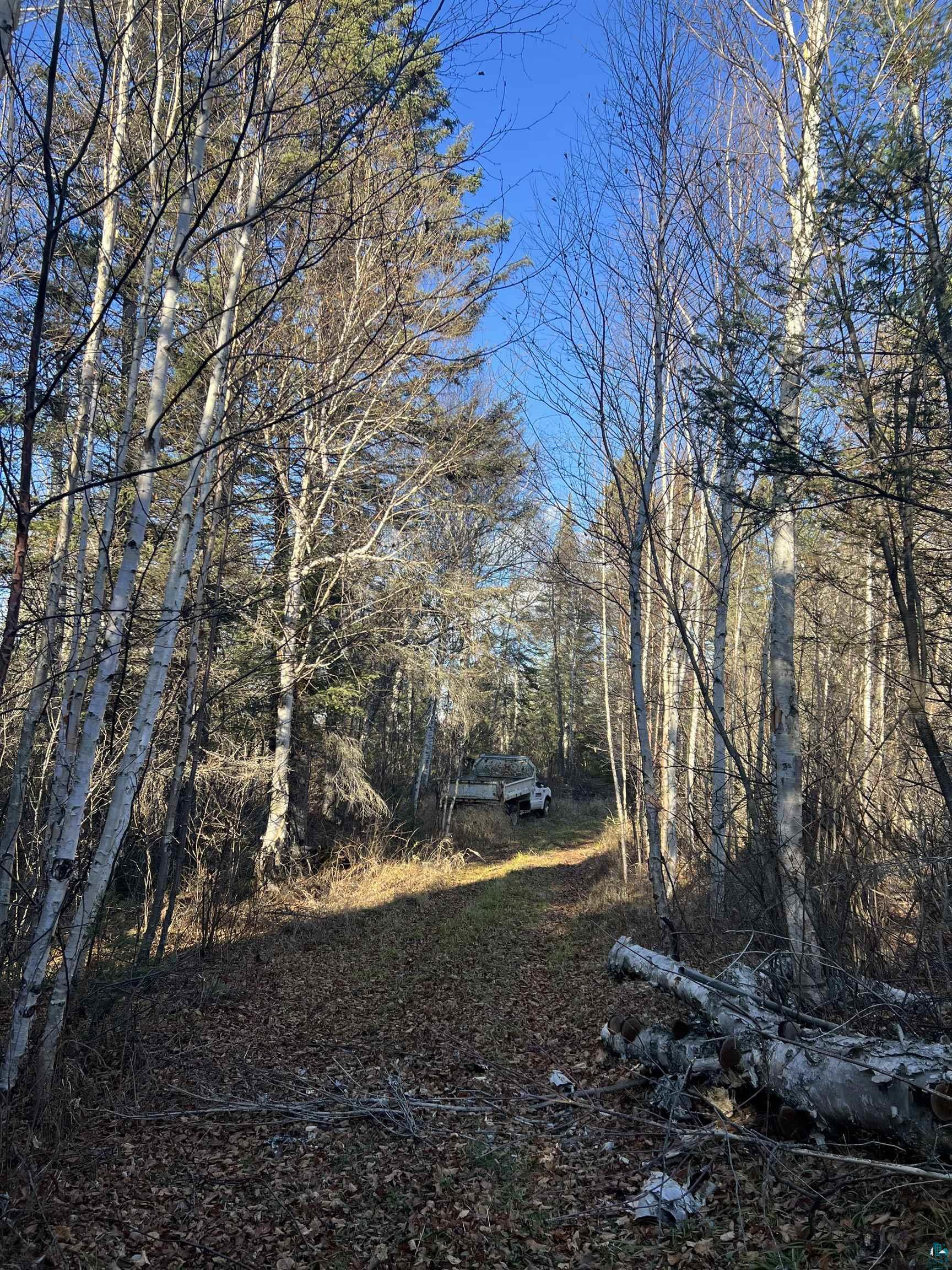 Tbd Heffelfinger Road Silver Bay, MN 55614 - Photo 26 of 31