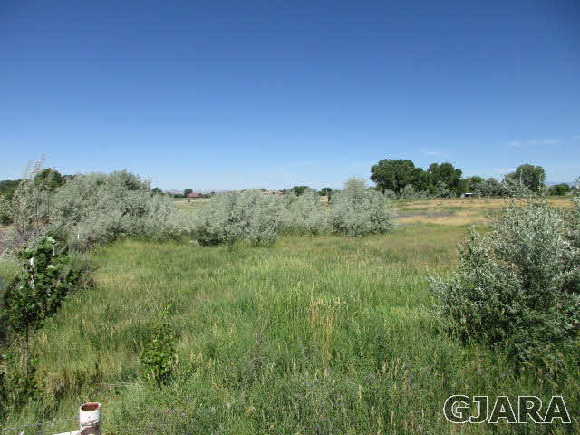 951 24 Road Grand Junction, CO 81505 - Photo 3 of 9 a view of a lush green outdoor space with couple of houses