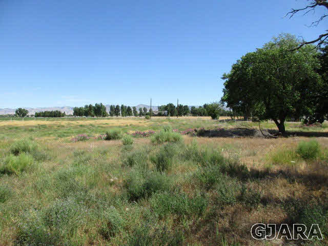 951 24 Road Grand Junction, CO 81505 - Photo 4 of 9 a view of a field with an trees