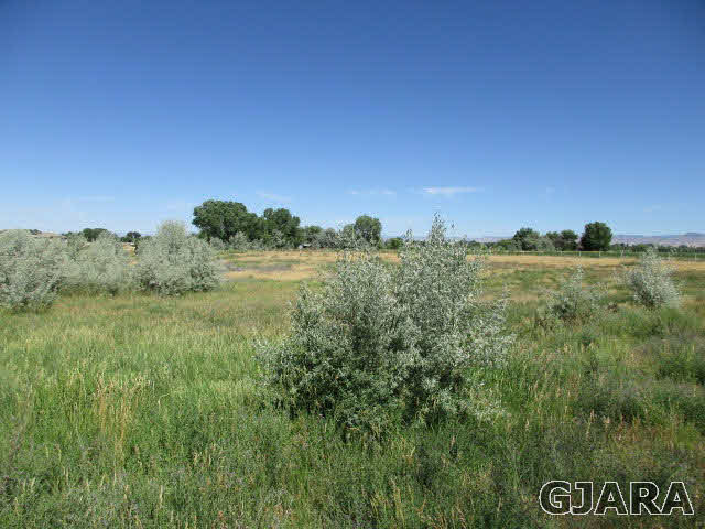 951 24 Road Grand Junction, CO 81505 - Photo 5 of 9 a view of a field with a tree in the background