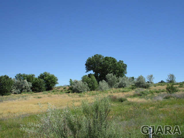951 24 Road Grand Junction, CO 81505 - Photo 8 of 9 a view of a field with a tree in the background