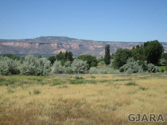 951 24 Road Grand Junction, CO 81505 - Photo 9 of 9 a view of a field with an trees in the background