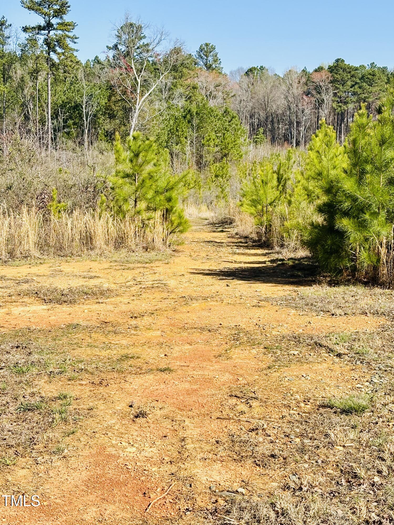 652 Richardson Road Pittsboro, NC 27312 - Photo 2 of 3 652 Richardson Rd picture 1