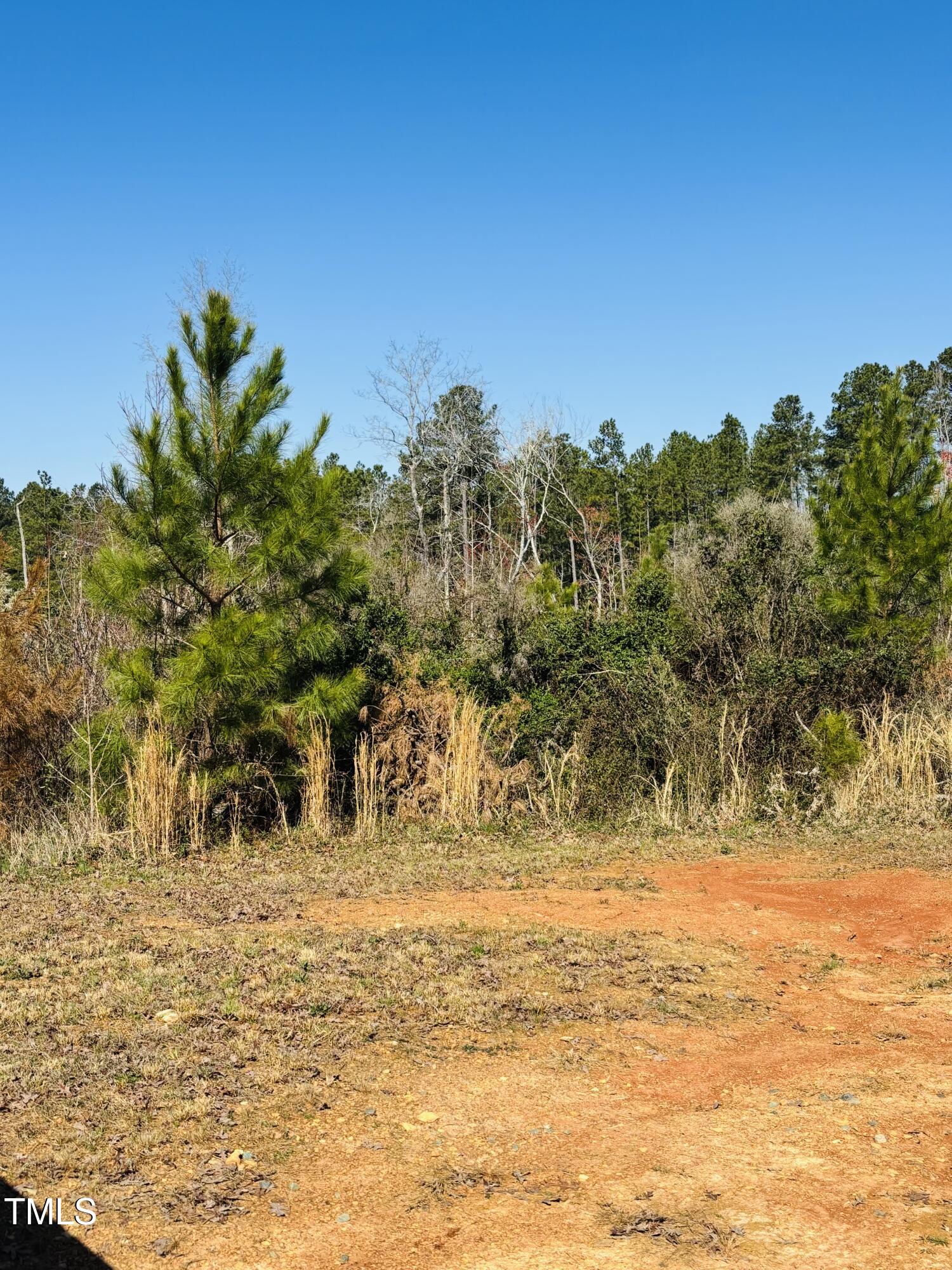 652 Richardson Road Pittsboro, NC 27312 - Photo 3 of 3 652 Richardson Rd picture 2