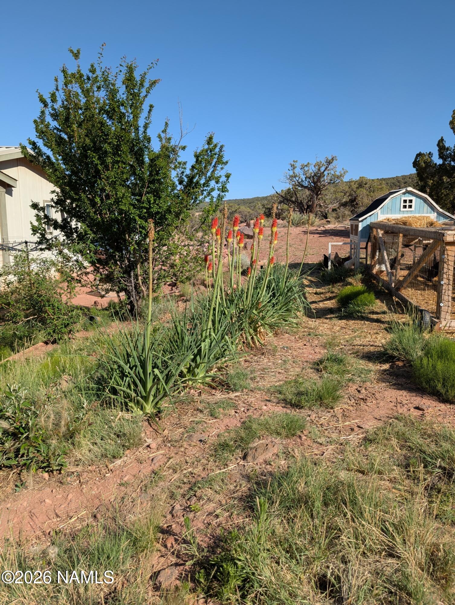 4080 Black Mesa Valley Road Snowflake, AZ 85937 - Photo 2 of 53 PXL_20250606_232206023.MP_-scaled