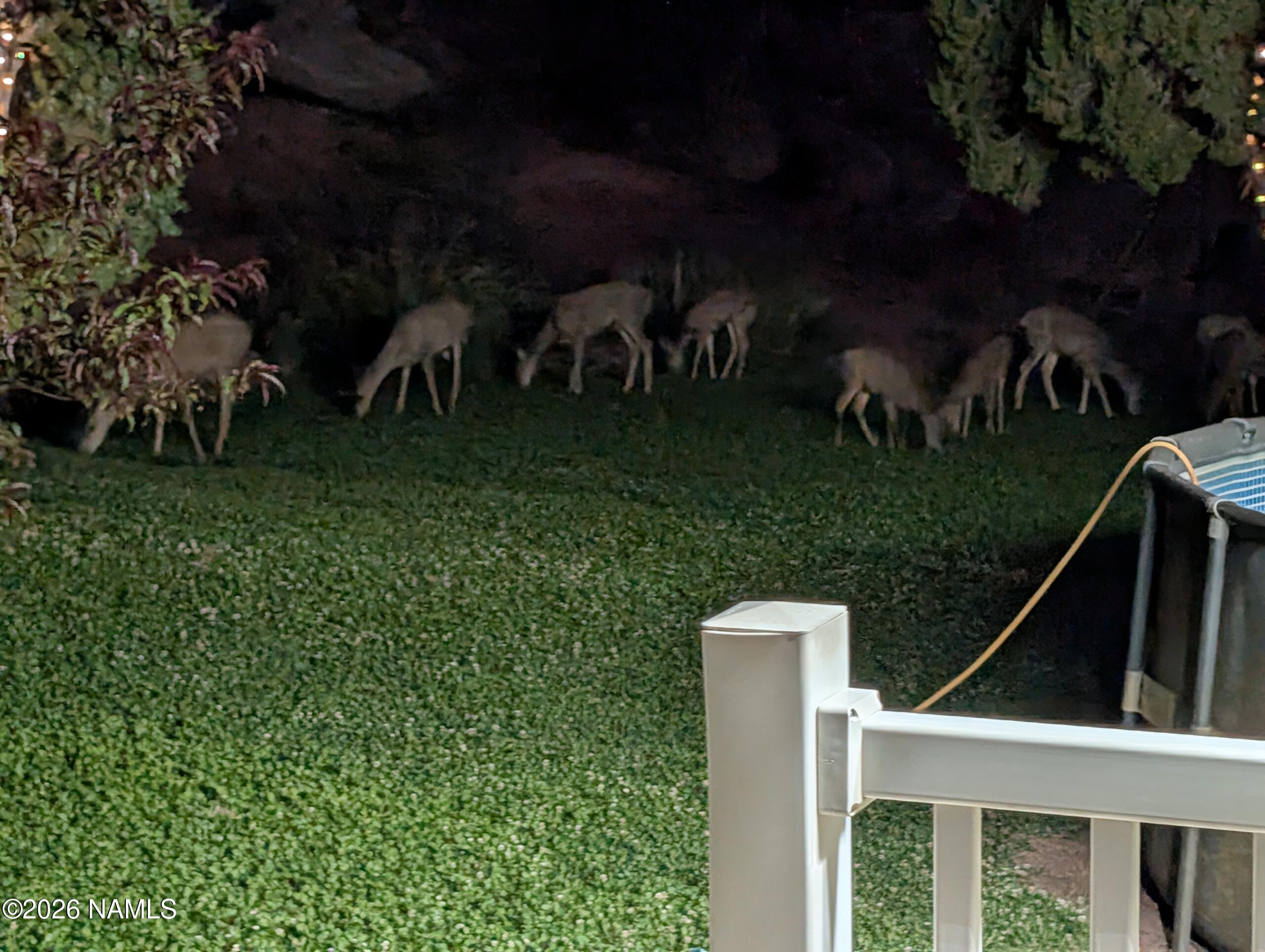 4080 Black Mesa Valley Road Snowflake, AZ 85937 - Photo 3 of 53 PXL_20250610_033318886-scaled