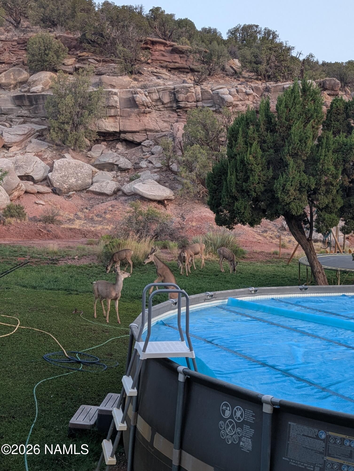 4080 Black Mesa Valley Road Snowflake, AZ 85937 - Photo 4 of 53 PXL_20250717_121927178-scaled