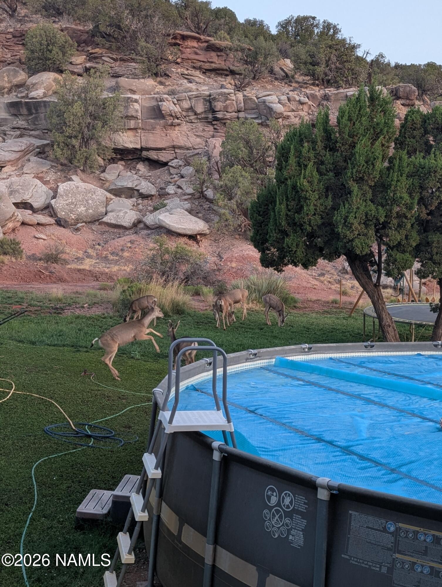 4080 Black Mesa Valley Road Snowflake, AZ 85937 - Photo 5 of 53 PXL_20250717_121928190-scaled