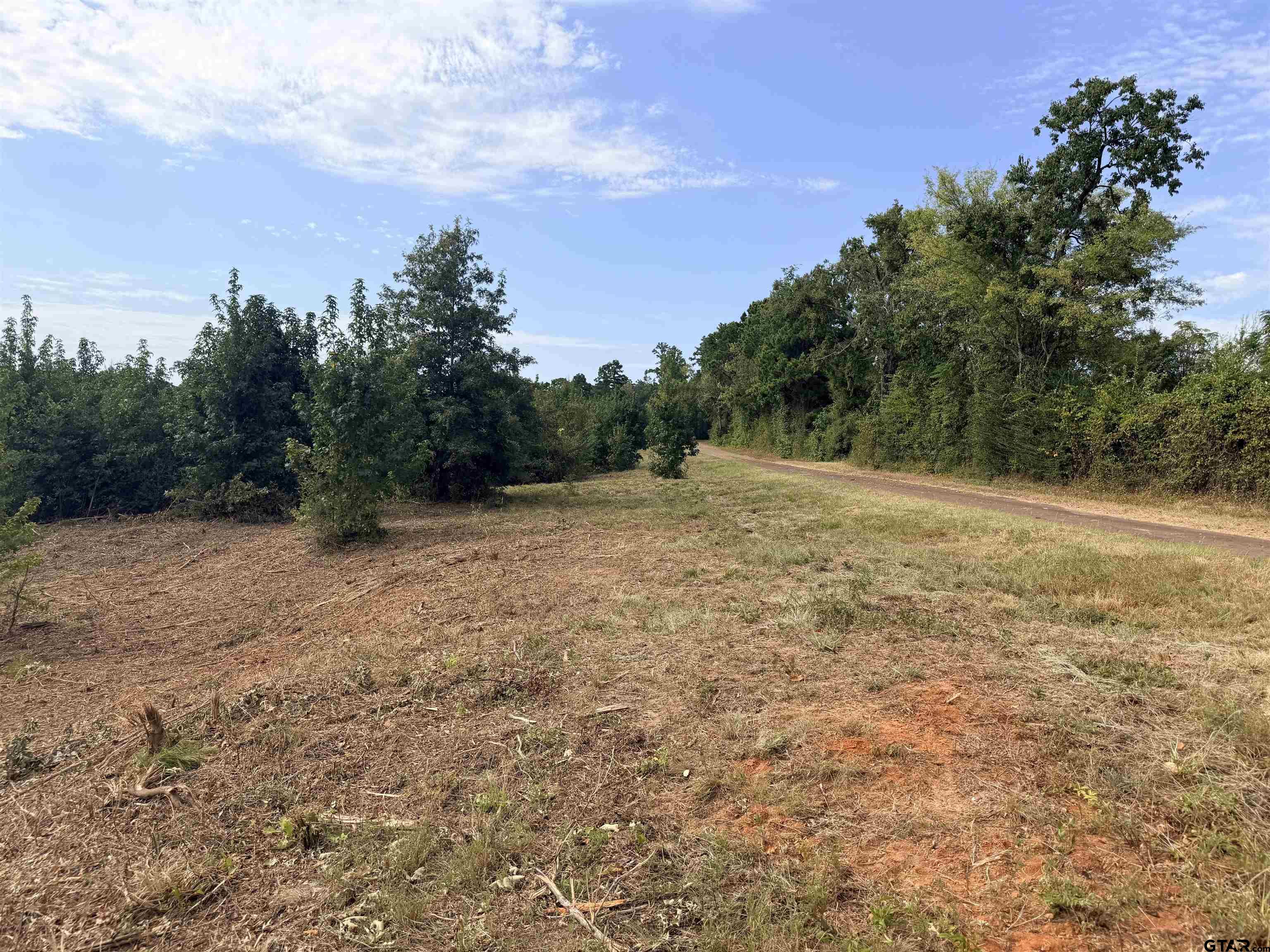 353 South Tbd County Road Henderson, TX 75654 - Photo 2 of 10 Gallery Image 2