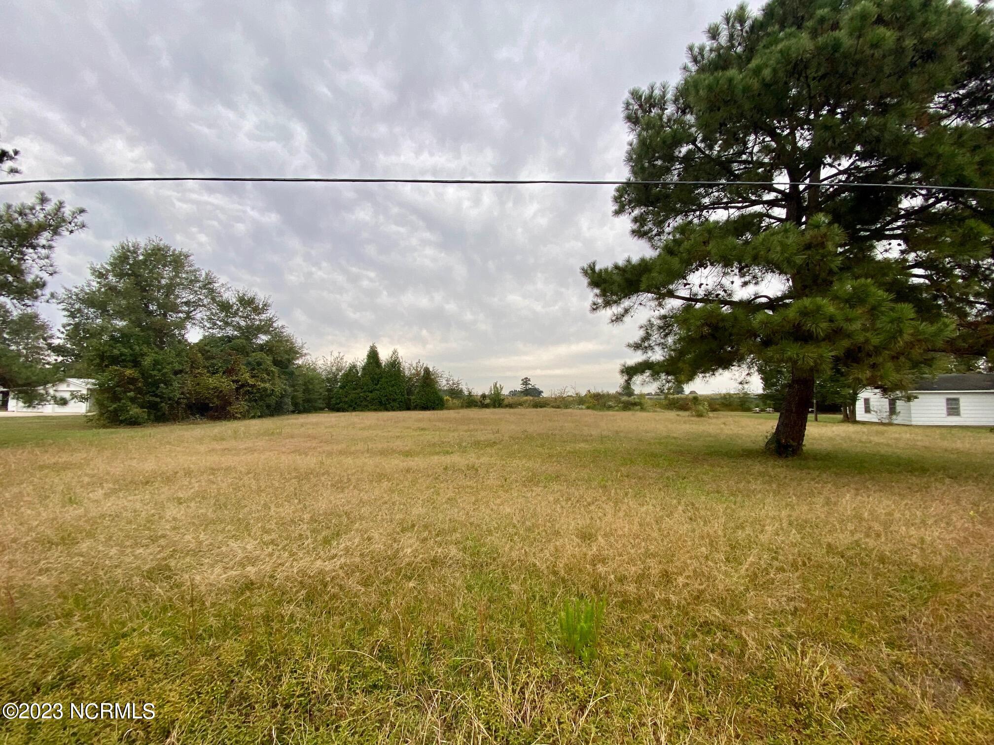 0 Wood Road Dunn, NC 28334 - Photo 2 of 8 wood pic 1