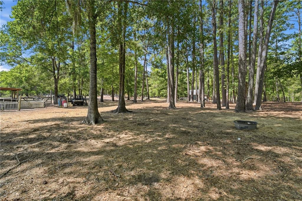 1259 Rowe Turner Road Townsend, GA 31331 - Photo 32 of 36