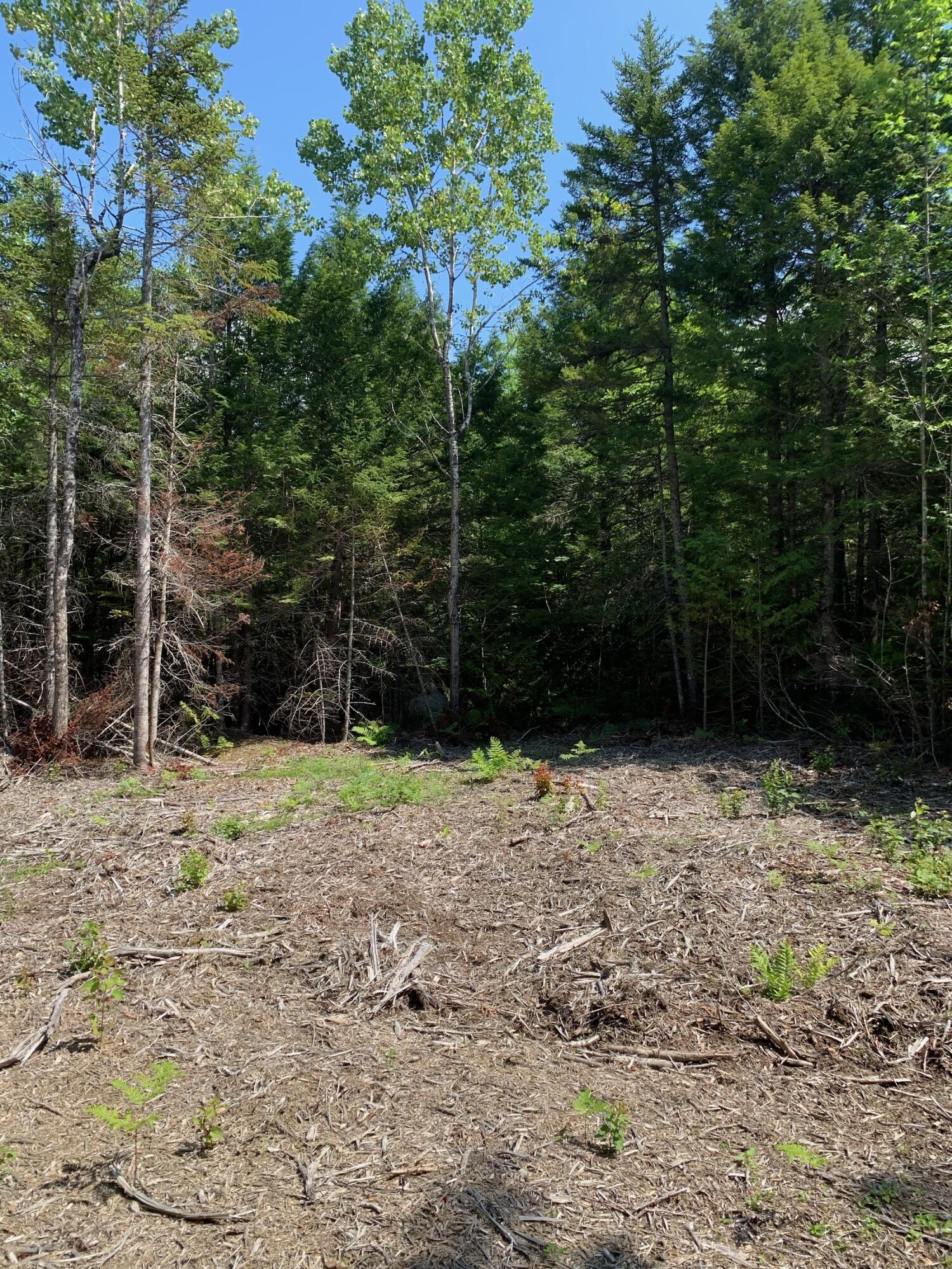 136 Whitetail Road Ellsworth, ME 04605 - Photo 3 of 9 IMG-6879 (1)