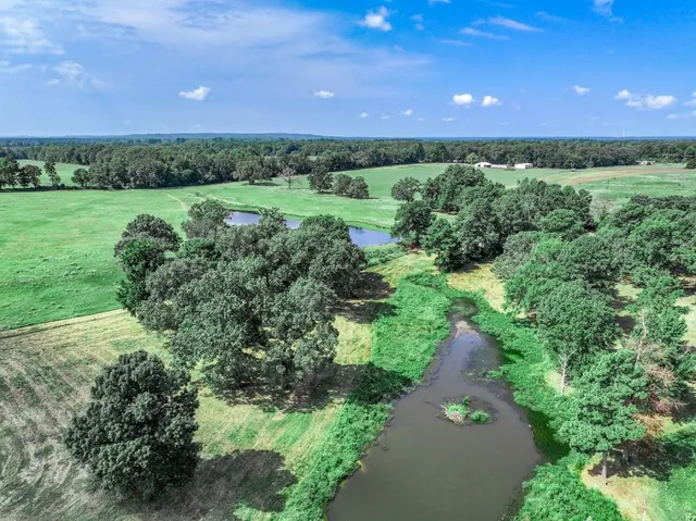 a view of a back yard