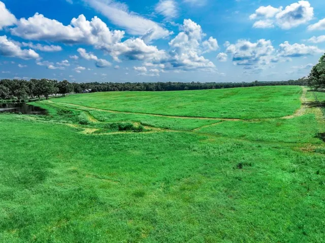 a view of a big yard with lots of green space