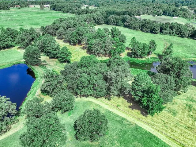 a view of a garden with a building