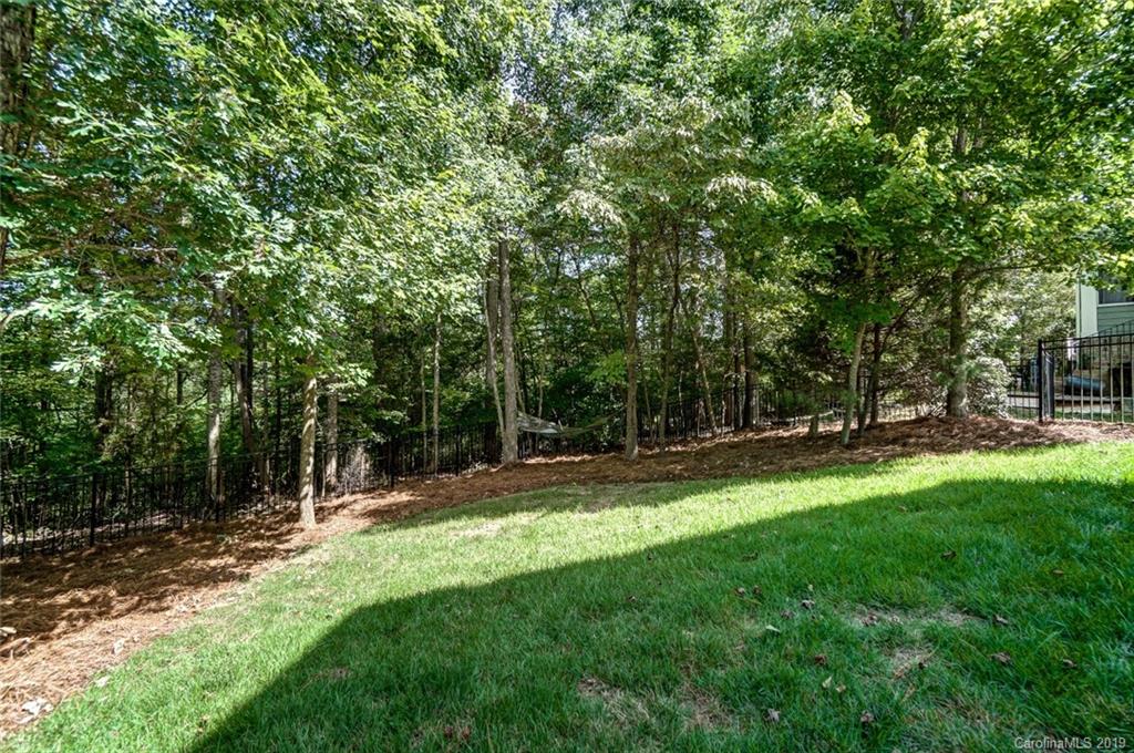 5124 Downing Drive Fort Mill, SC 29708 - Photo 39 of 47 Gallery Image 39