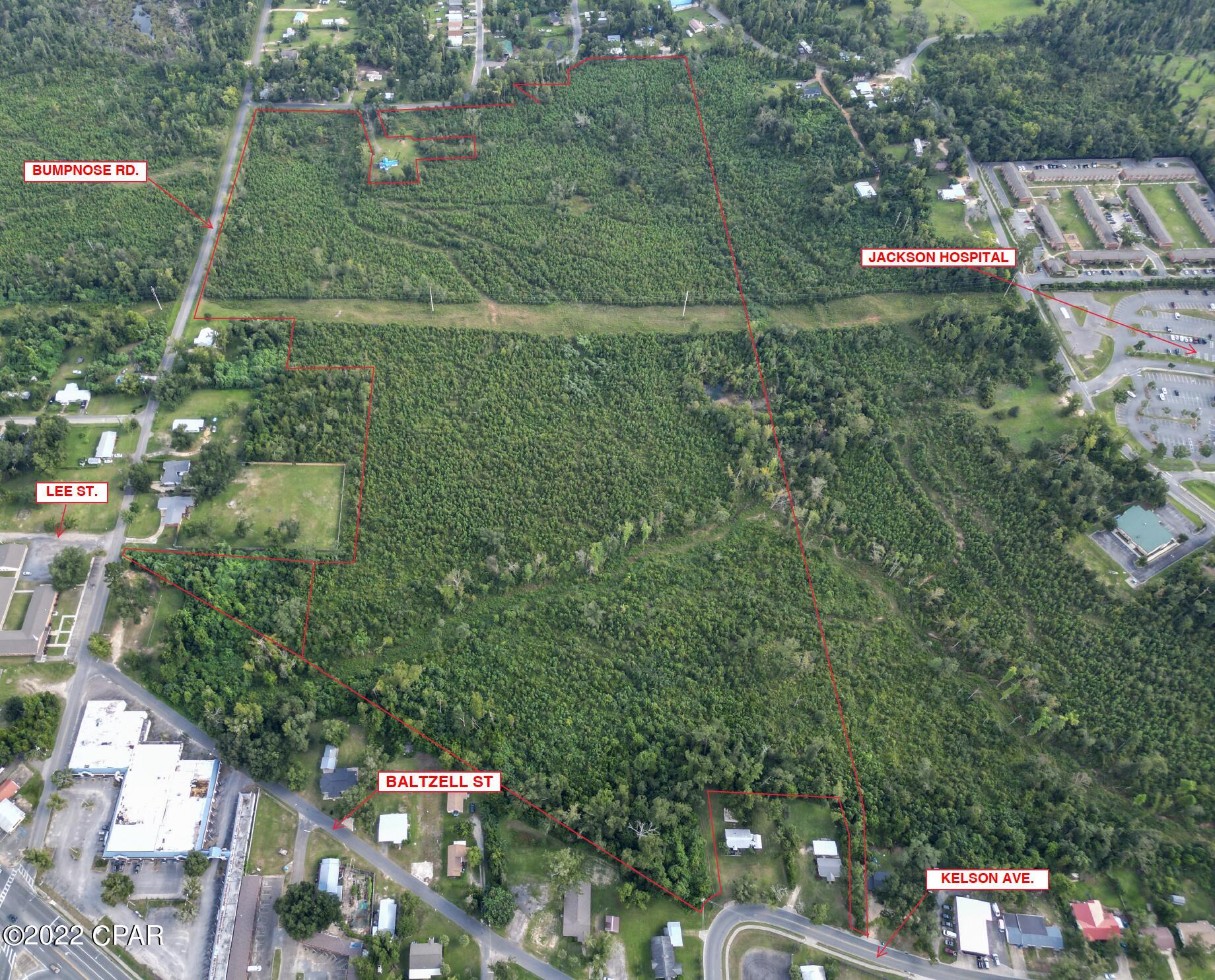 0 Bump Nose Road Marianna, FL 32446 - Photo 2 of 8