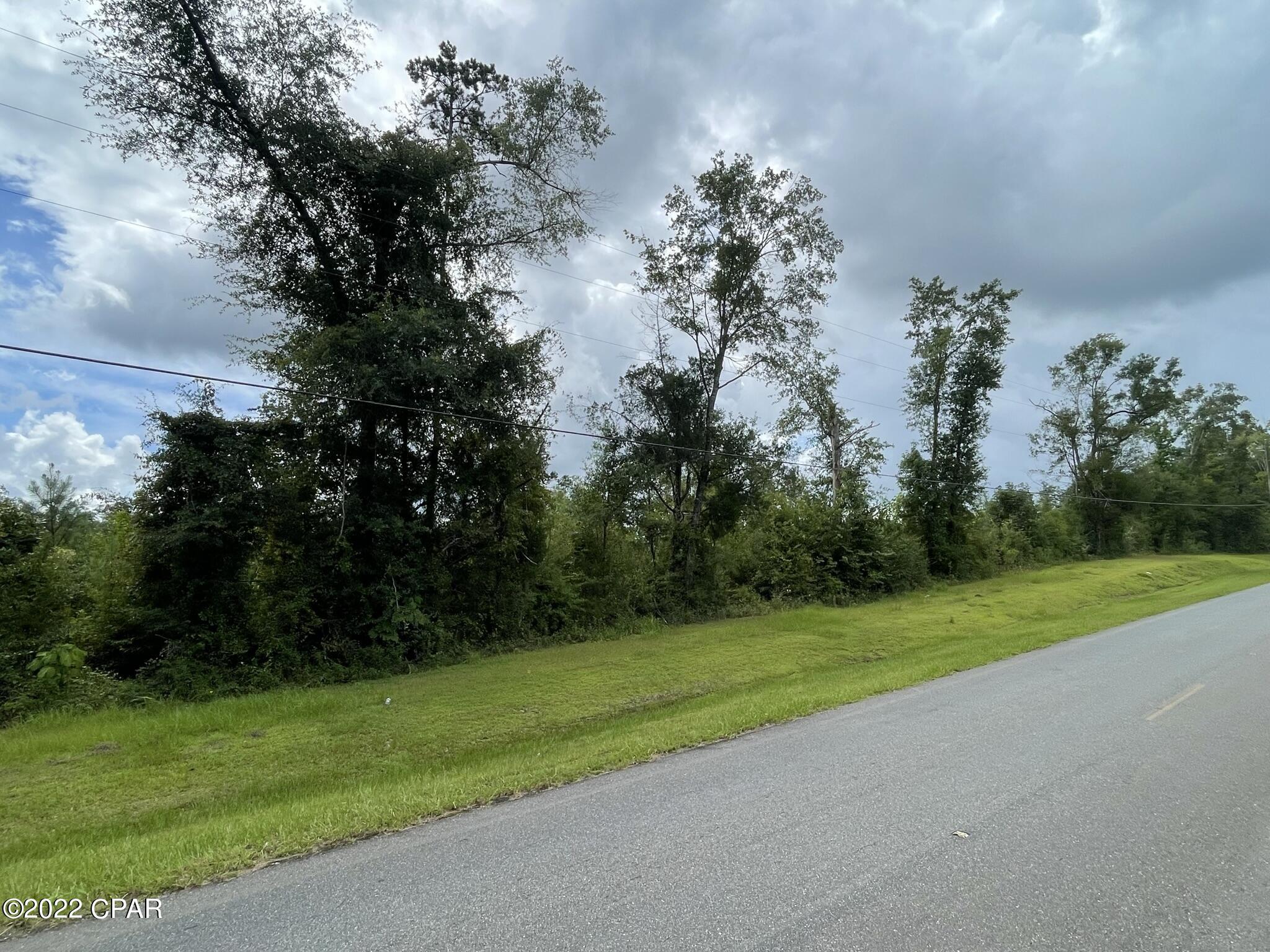 0 Bump Nose Road Marianna, FL 32446 - Photo 4 of 8