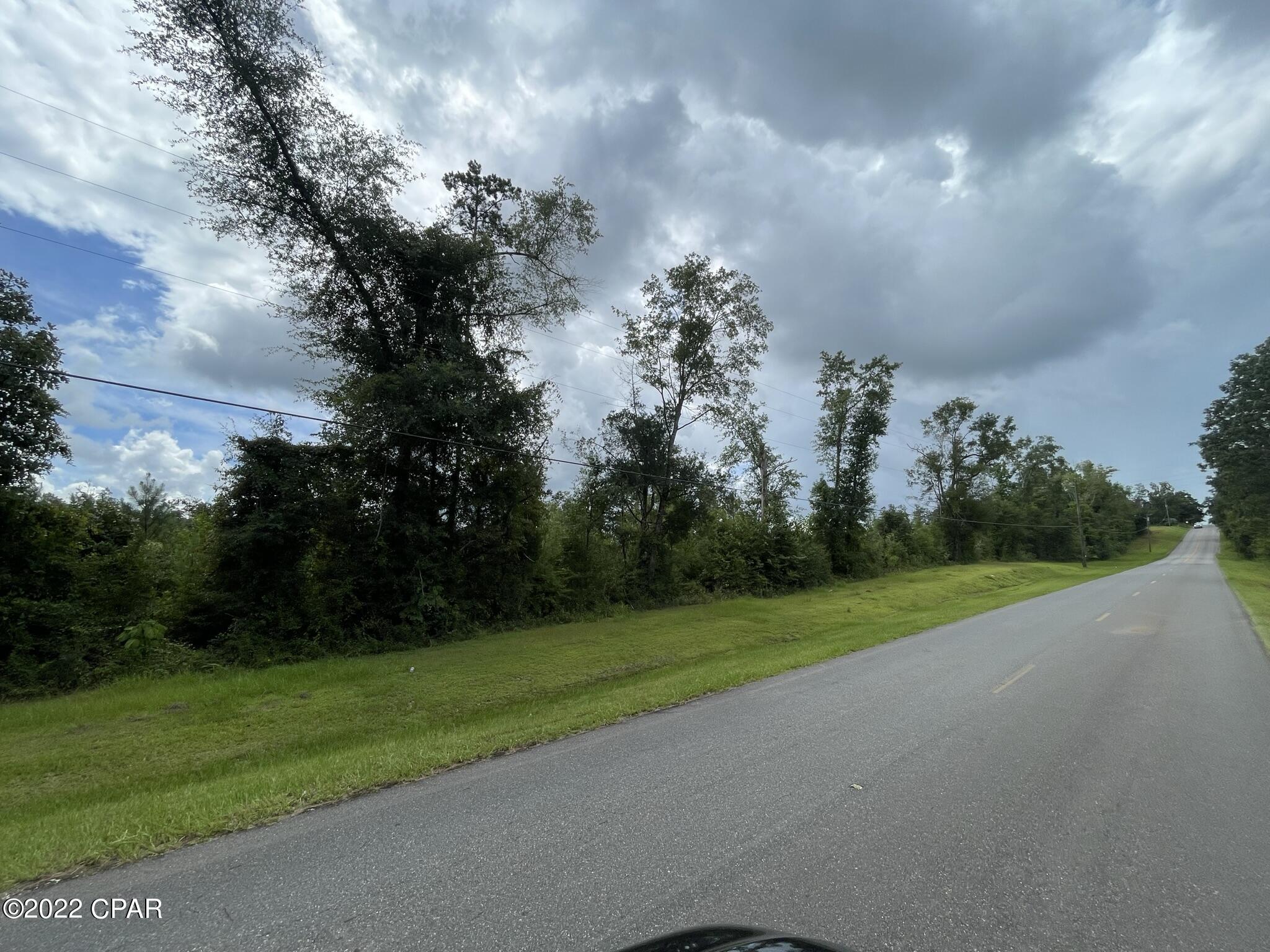 0 Bump Nose Road Marianna, FL 32446 - Photo 6 of 8