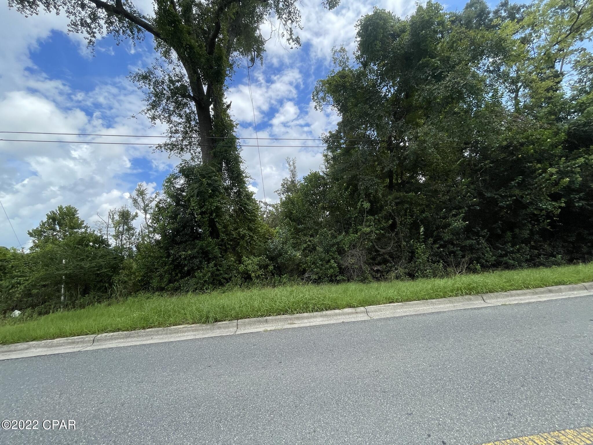 0 Bump Nose Road Marianna, FL 32446 - Photo 7 of 8