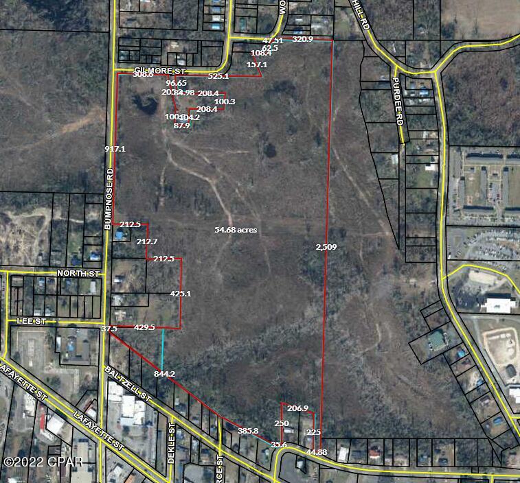 0 Bump Nose Road Marianna, FL 32446 - Photo 8 of 8