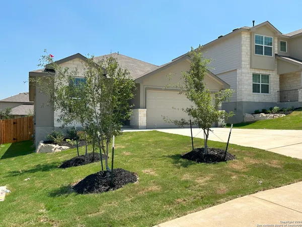 a backyard of a house with plants and large tree