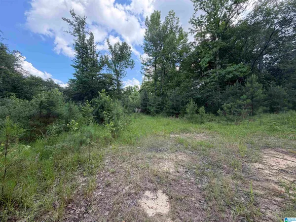 $19,000 | 350 Oscar Bradford Road, Unit 1, Warrior, AL 35180