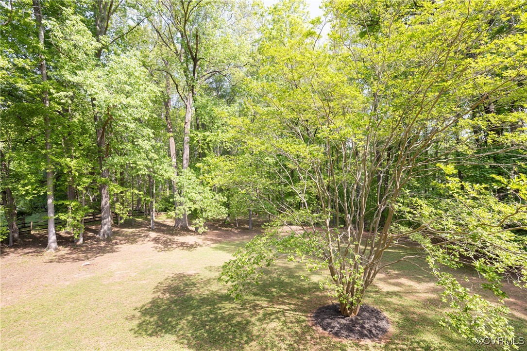 1445 Schroeder Road Powhatan, VA 23139 - Photo 38 of 45 Gallery Image 38