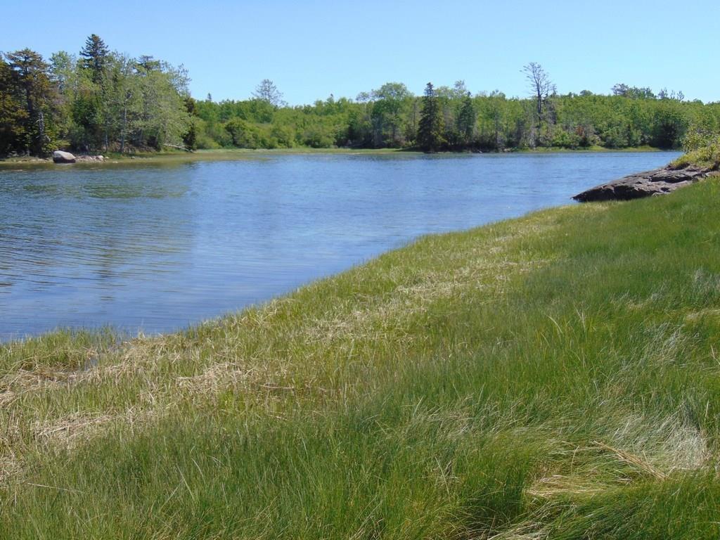 420 Basin Road Addison, ME 04606 - Photo 15 of 26 The canoe or kayak sits right here,...
