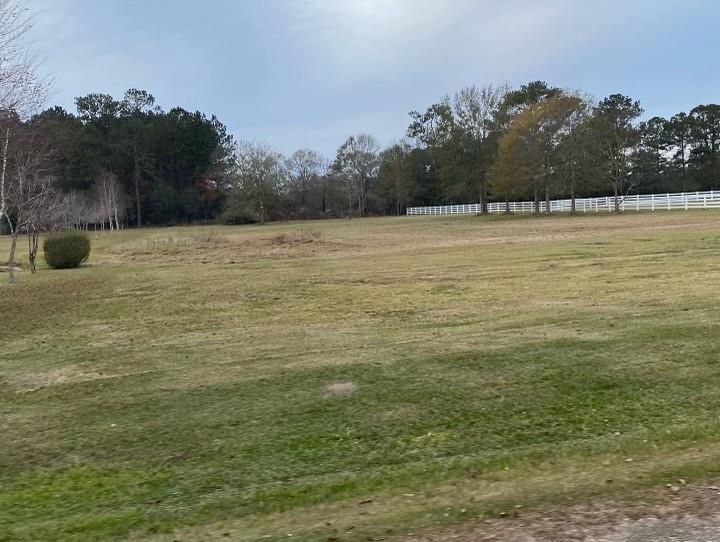 113 Bienville Road Folsom, LA 70437 - Photo 3 of 9 Gallery Image 3
