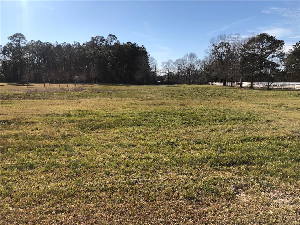 113 Bienville Road Folsom, LA 70437 - Photo 5 of 9 Gallery Image 5
