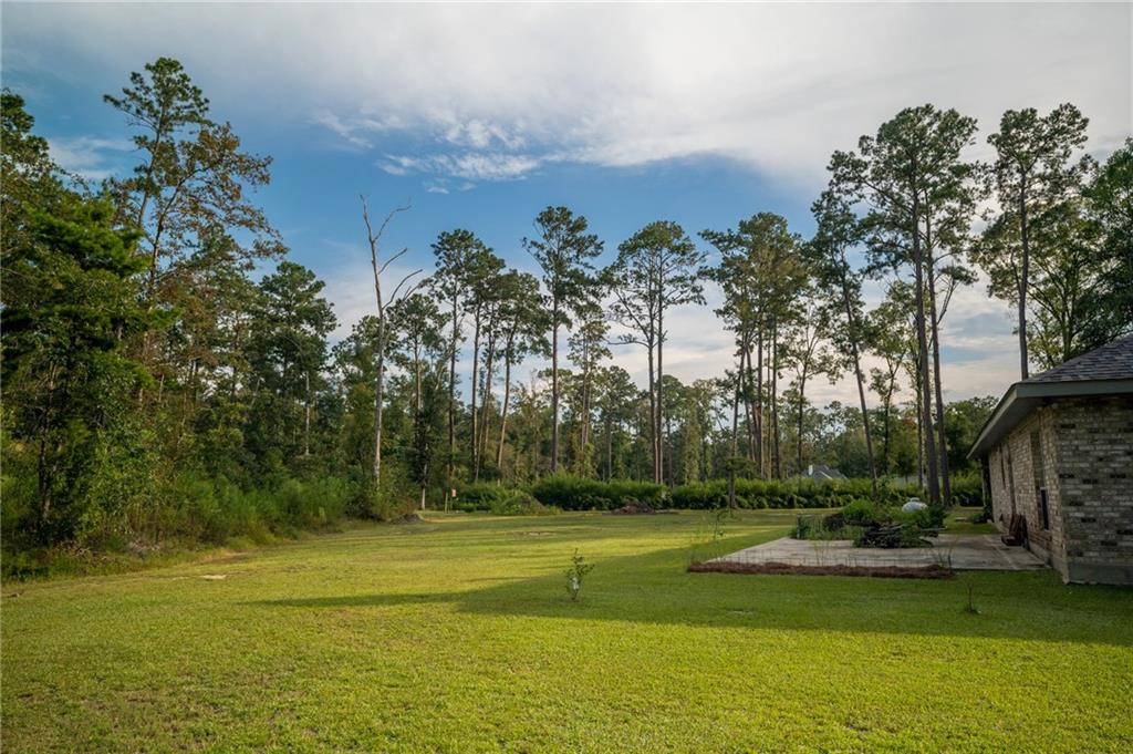 11185 Ragan Lane Ponchatoula, LA 70454 - Photo 53 of 56 Gallery Image 53