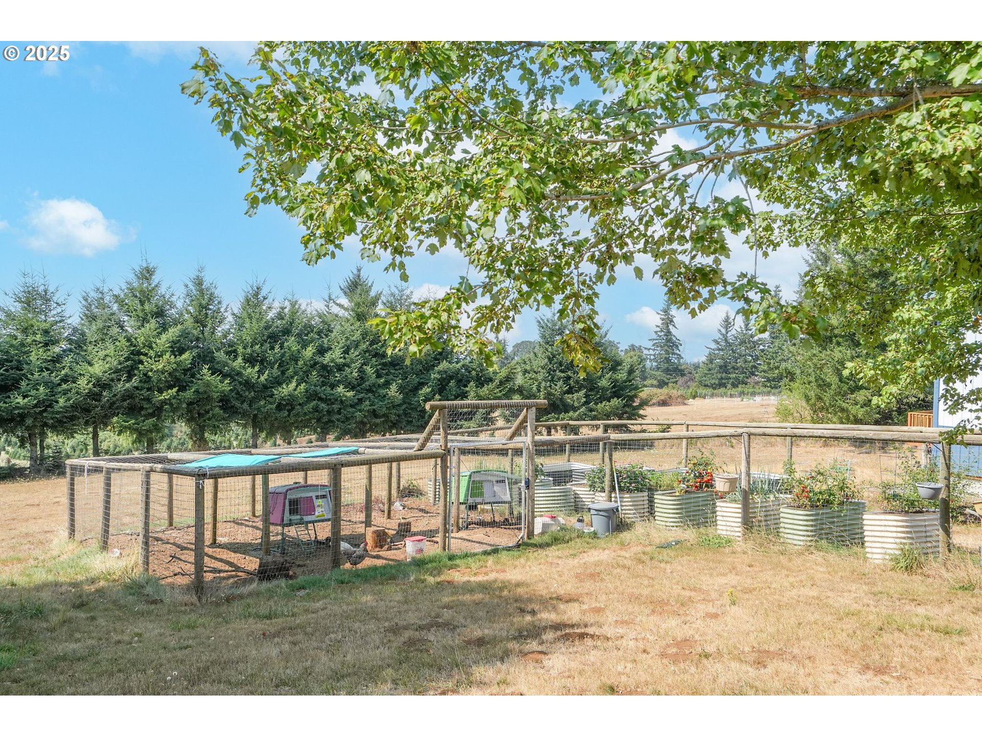 3341 Seminole Road Northeast Silverton, OR 97381 - Photo 28 of 48 Gallery Image 28
