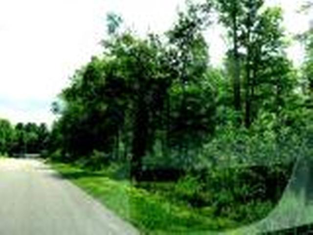 Lot 18 Pfeifer Road Tomahawk, WI 54487 - Photo 2 of 8 Gallery Image 2
